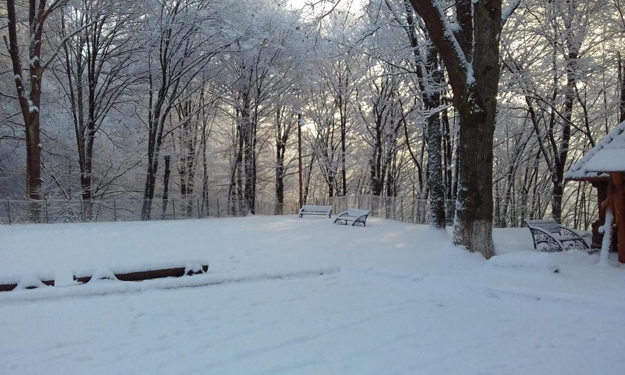 Hotel Zatyshok Svalyava Esterno foto